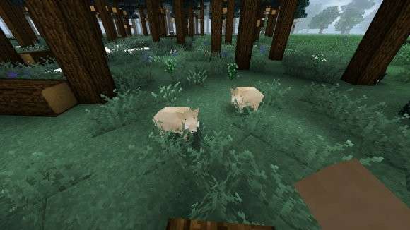 生存战争2中文版